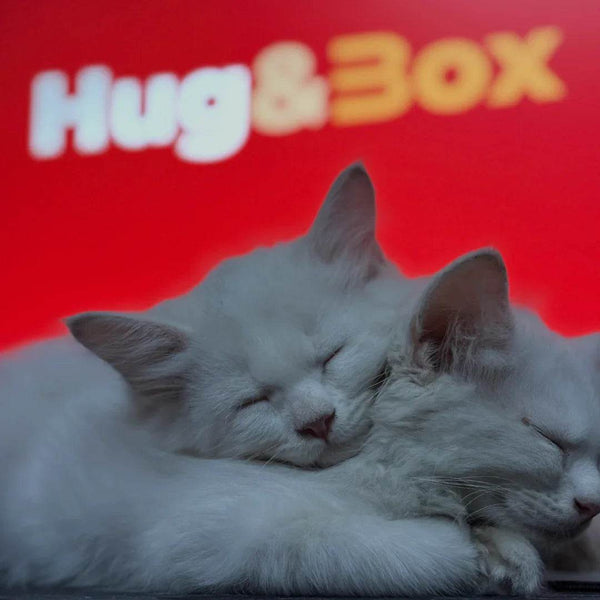 Best Selling - Hug&Box