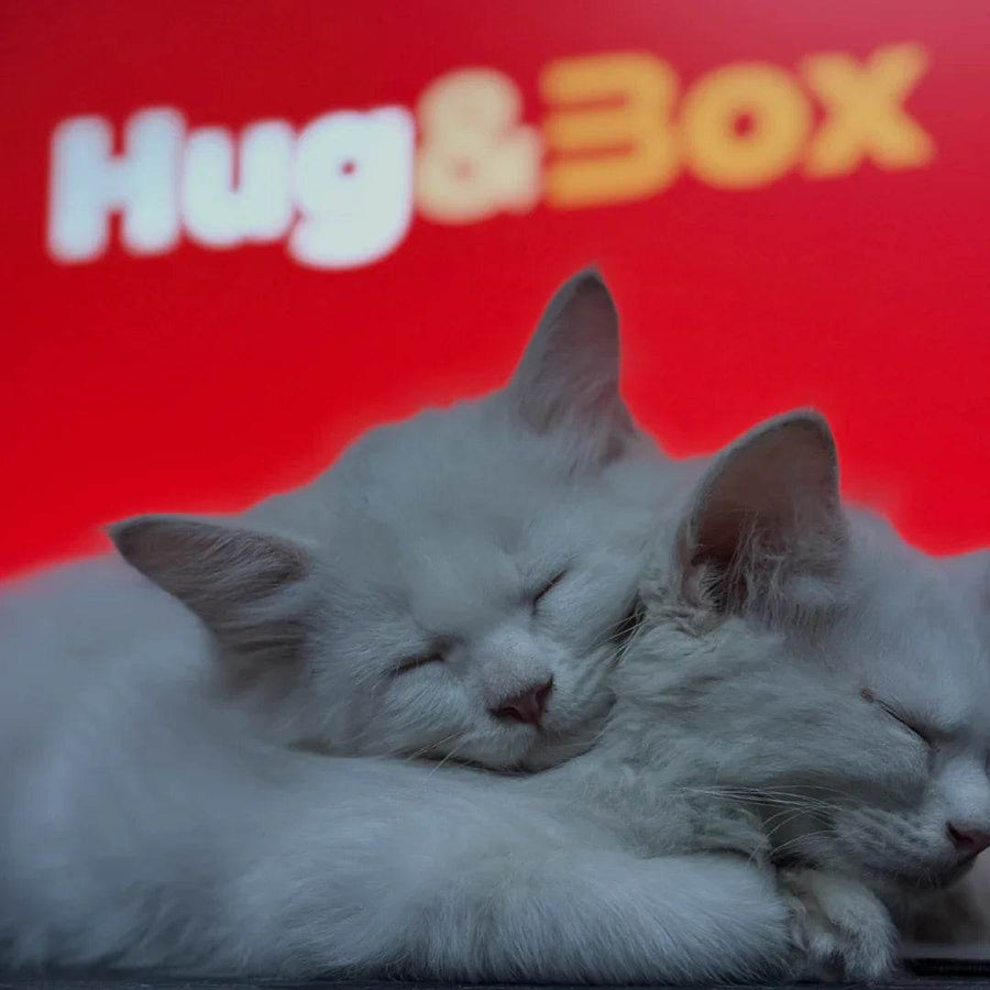 Best Selling - Hug&Box